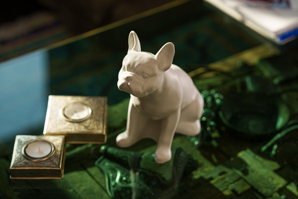 Pulvis dog urn collection